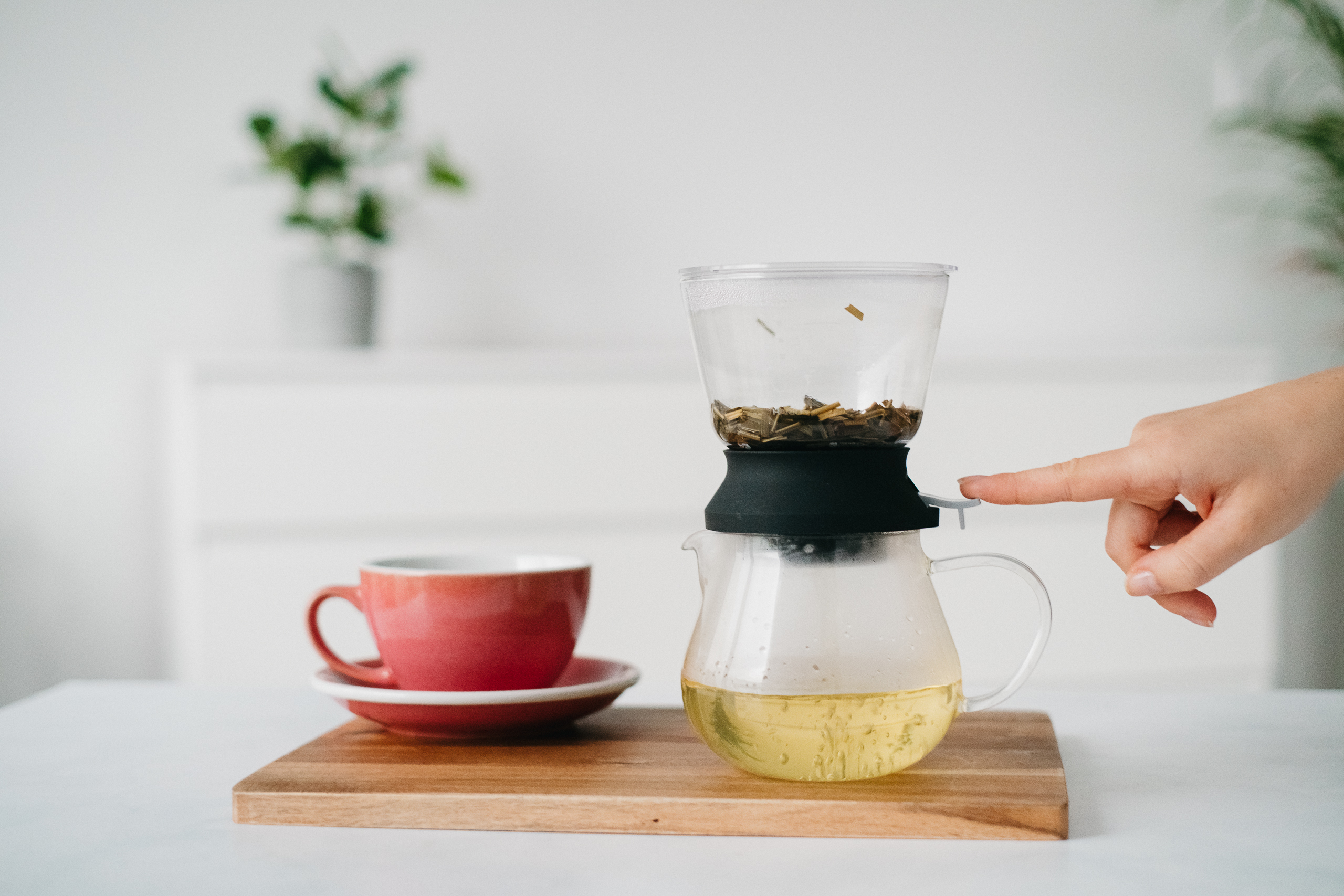 Filter Coffee And Tea Brewer