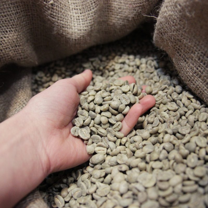 green coffee before roasting