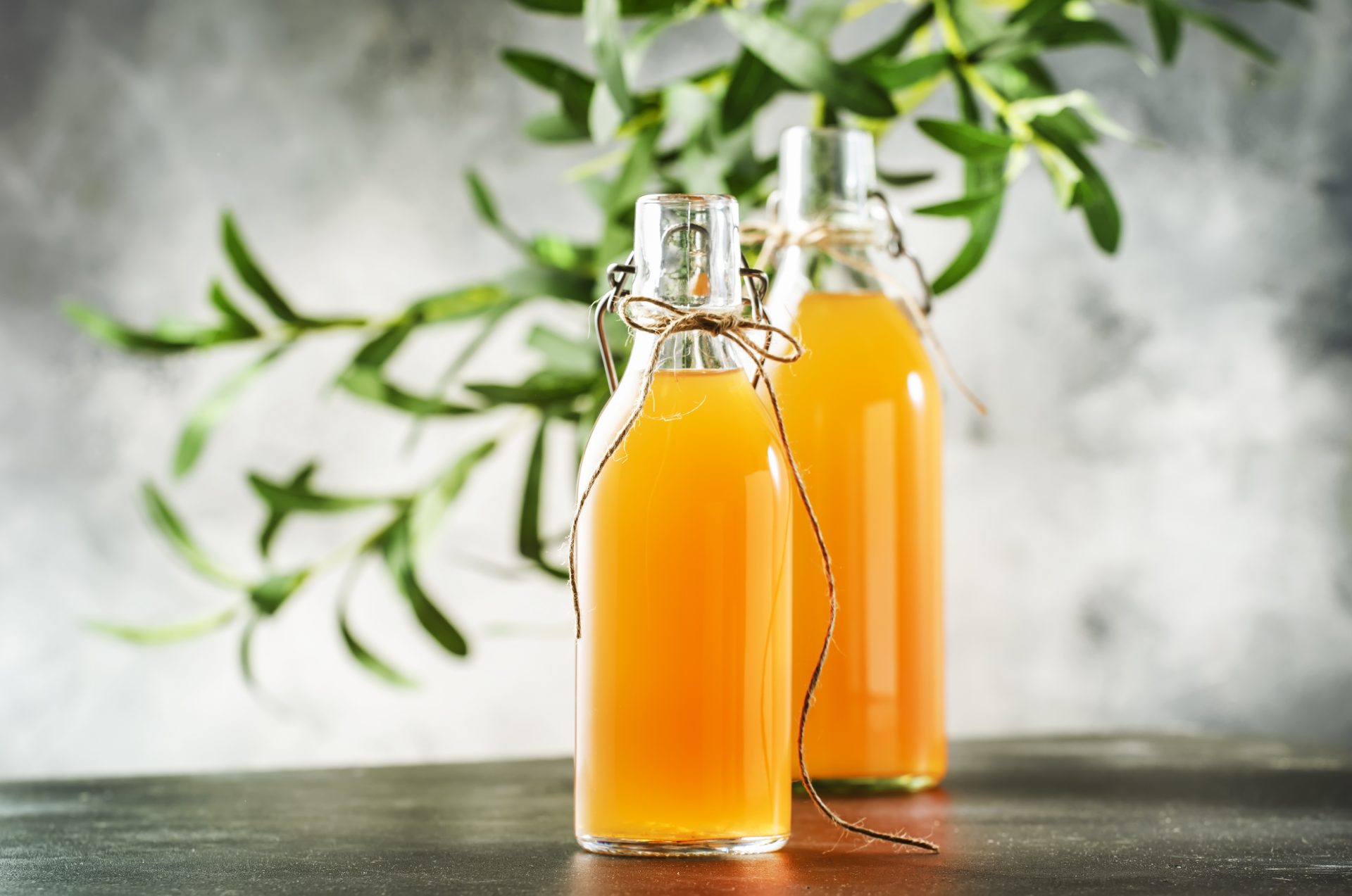 kombucha jak zrobić
